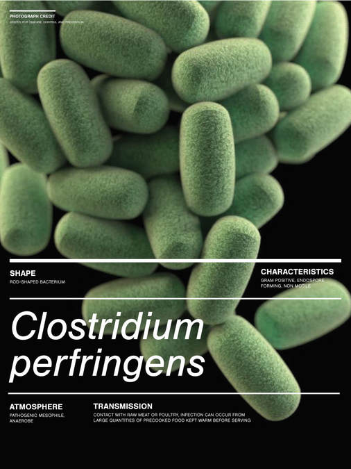 Clostridium perfringens Poster