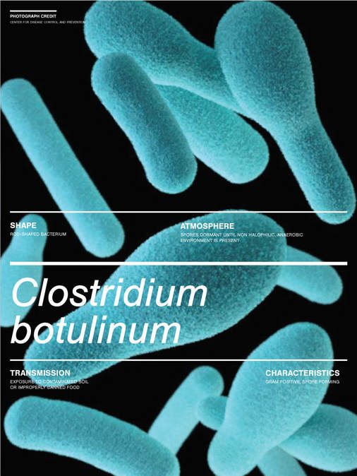 Clostridium botulinum Poster